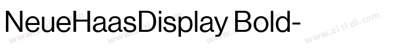 NeueHaasDisplay Bold字体转换 NeueHaasDisplay Bold字体转换